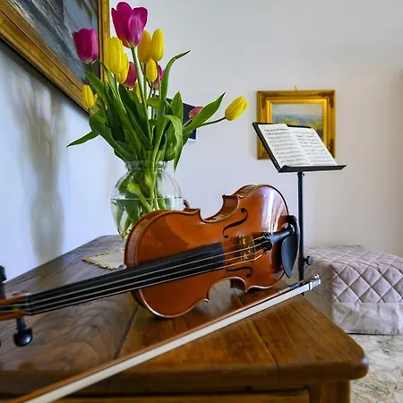 Appartamento Violinist's House *